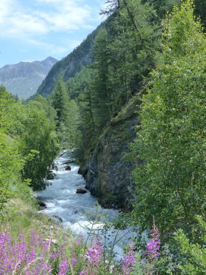 Tranquillite Et Authenticite Au Pied Des Ecrins Leilighet Villar-dʼArène Eksteriør bilde